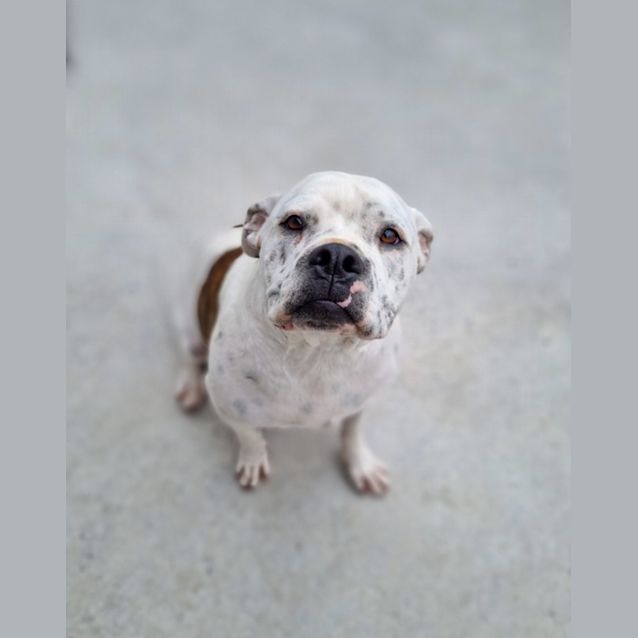 Photo of Rosie