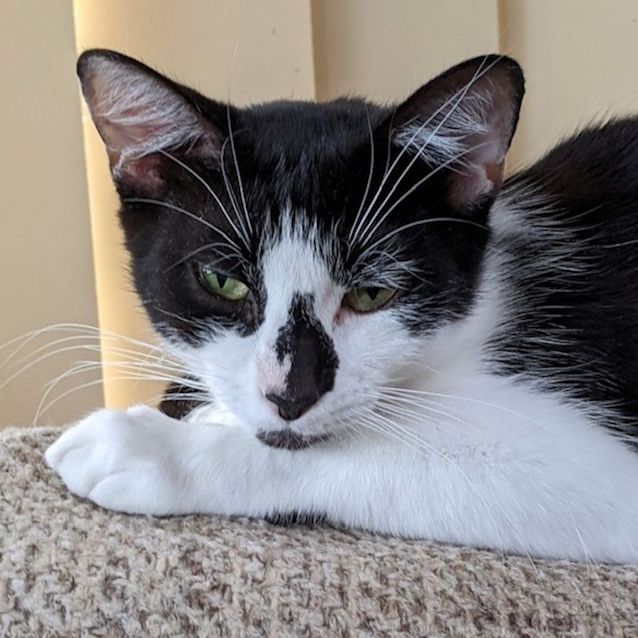 Photo of Mimi Sua009240