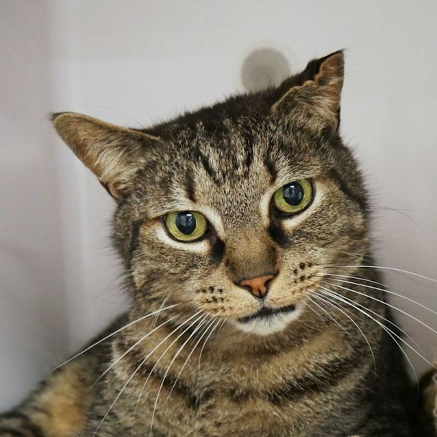 Photo of Rocky Sua009285