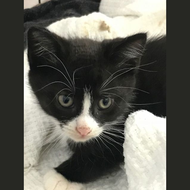 Photo of Lola & Buddy