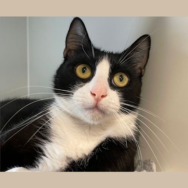 Photo of Felicity & Lady