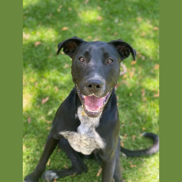 Photo of Missy