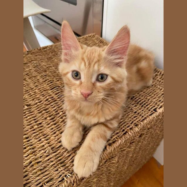 Photo of Clancy & Rudi 