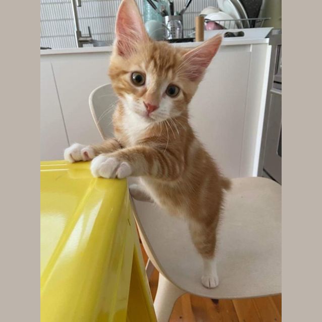 Photo of Rudi & Clancy