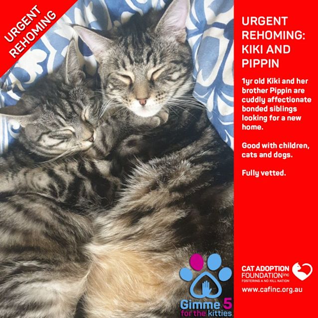 Photo of Kiki And Pippin