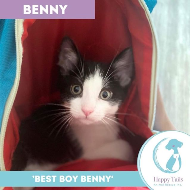 Photo of Benny