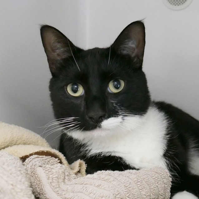 Photo of Felix Rsua009018