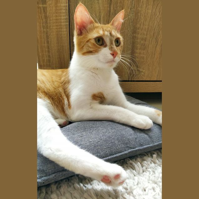 Photo of Buttons