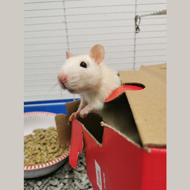 Photo of Tilda (Tilly)