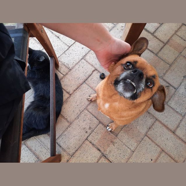 Photo of Anzac Dl2766