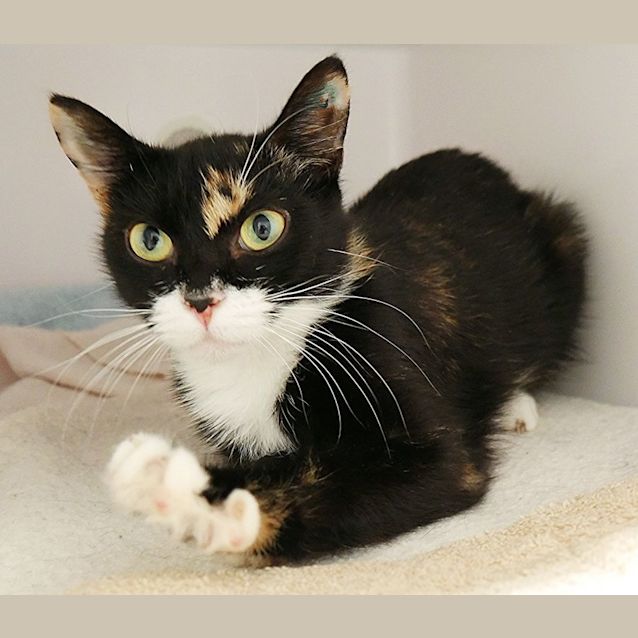 Photo of Queenie Sua009349