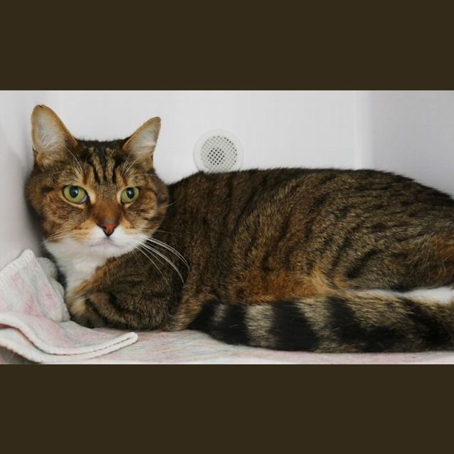 Photo of Kit Sua009472