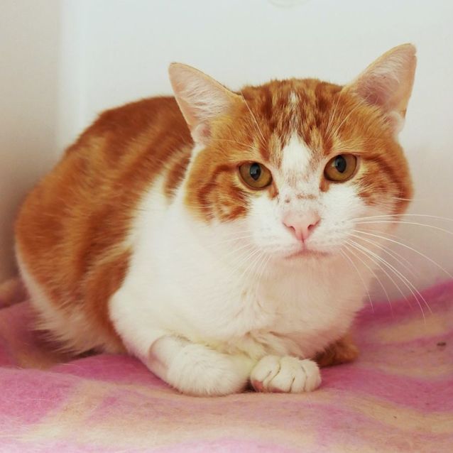 Photo of Fez Sta009386