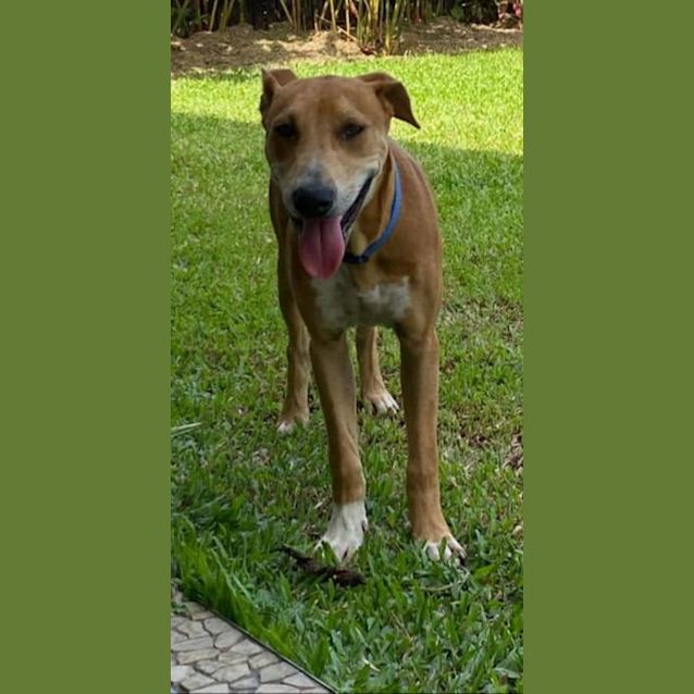 Photo of Oliver 