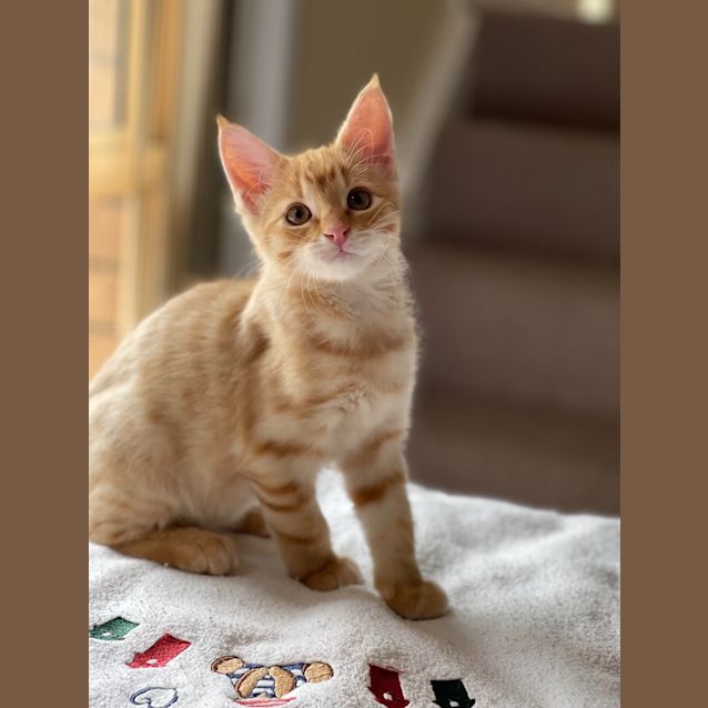 Photo of Jaycee