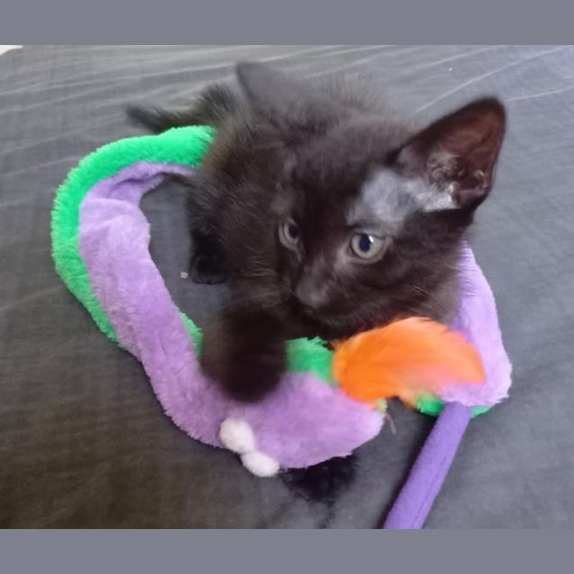 Photo of Tia