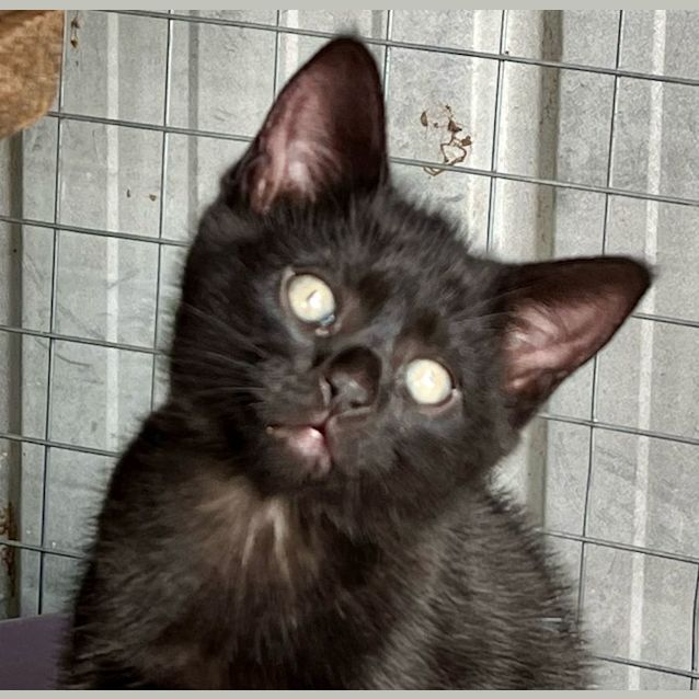 Photo of Eclipse 