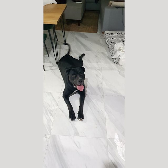 Photo of Eddie Dl2764