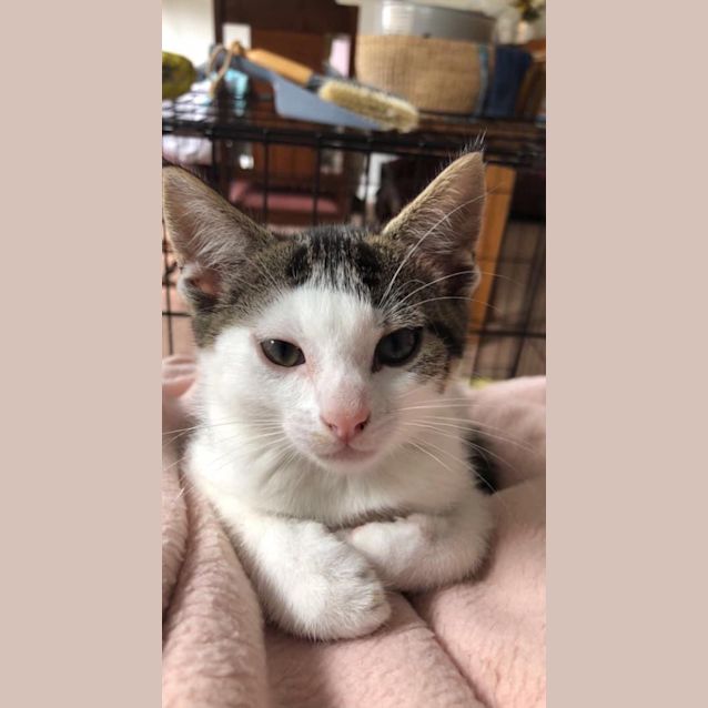 Photo of Pippy