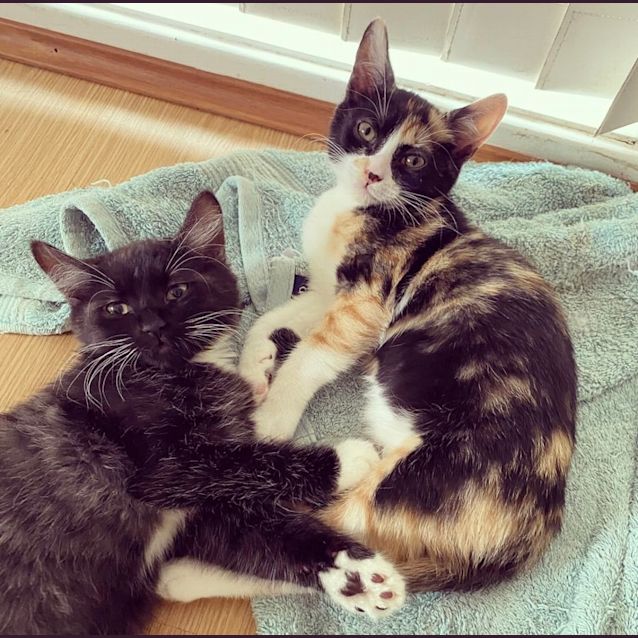 Photo of Yennifer And Triss 