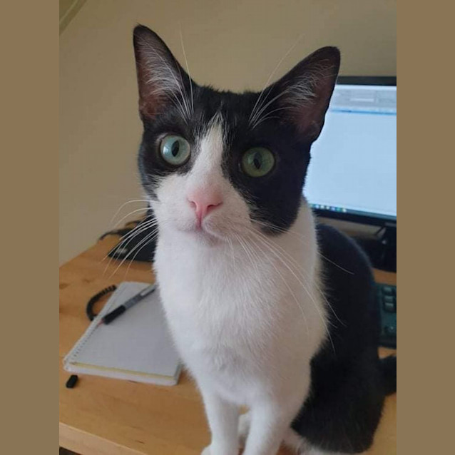 Photo of Fergus And Monkey