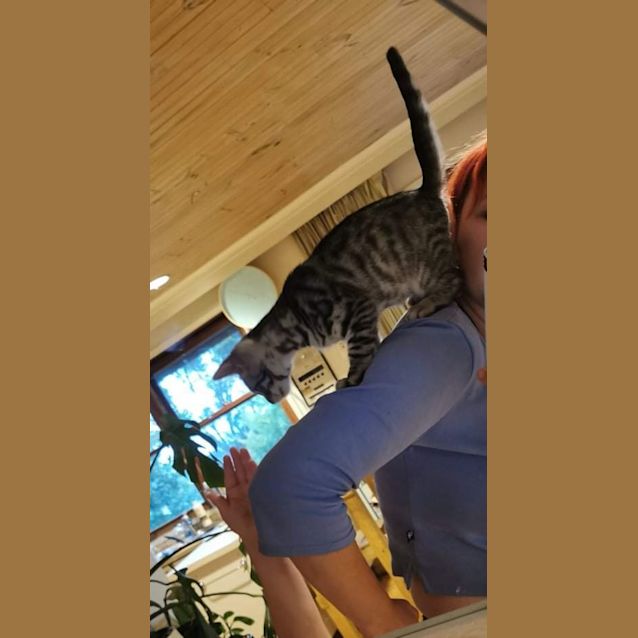 Photo of Dollar 💵 