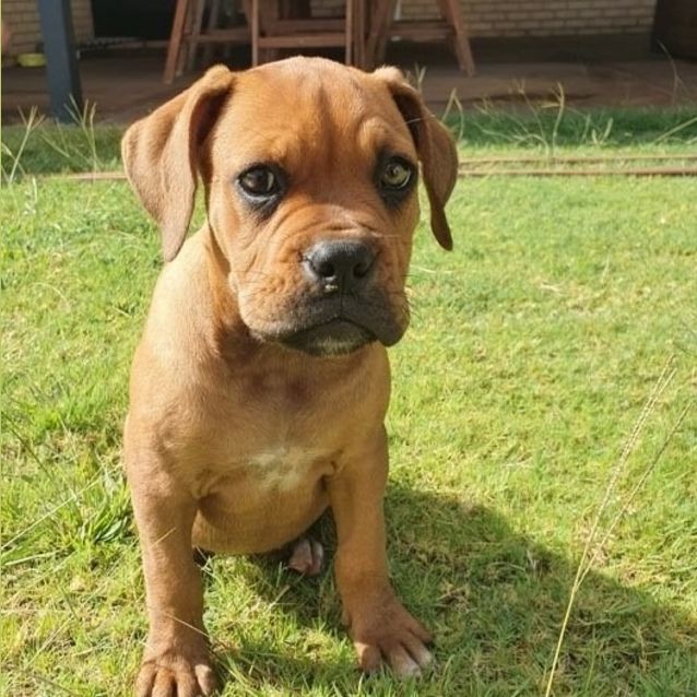 Photo of Sansa