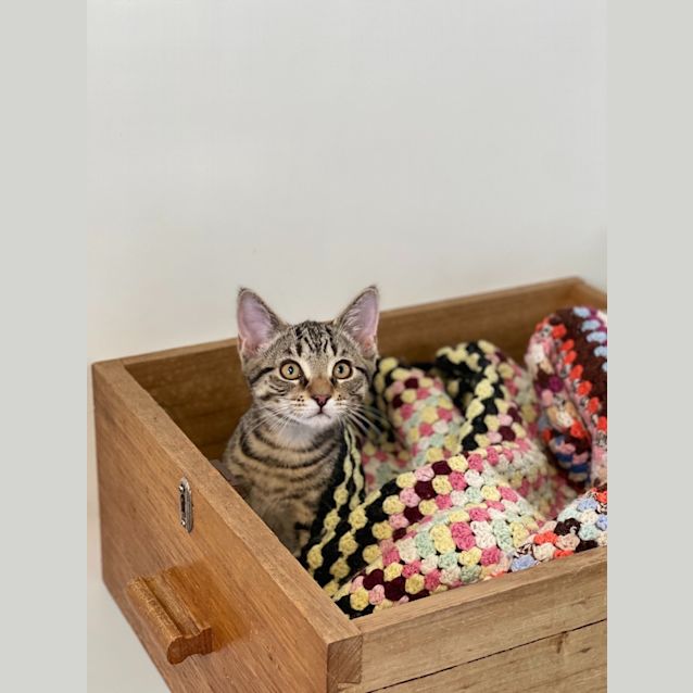 Photo of Sugar Pie