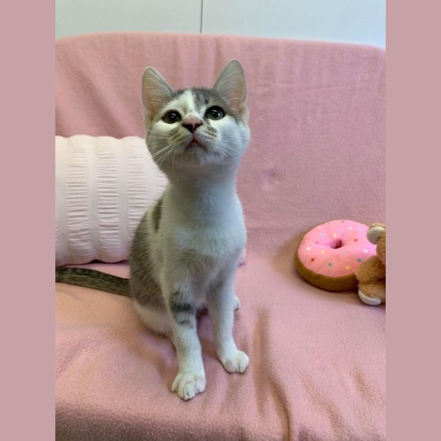 Photo of Maisy 