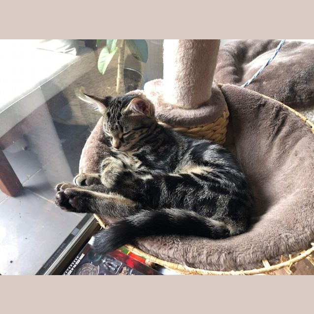 Photo of Bart & Lisa