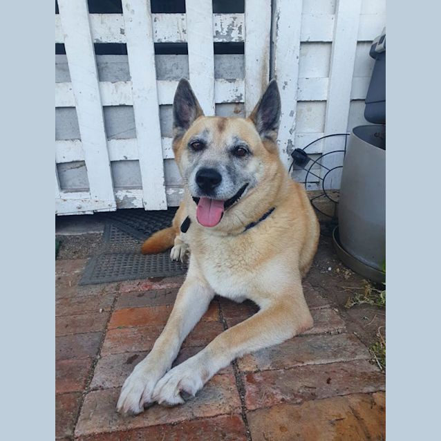 Photo of Mishka