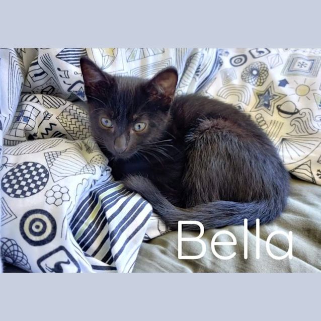 Photo of Bella 