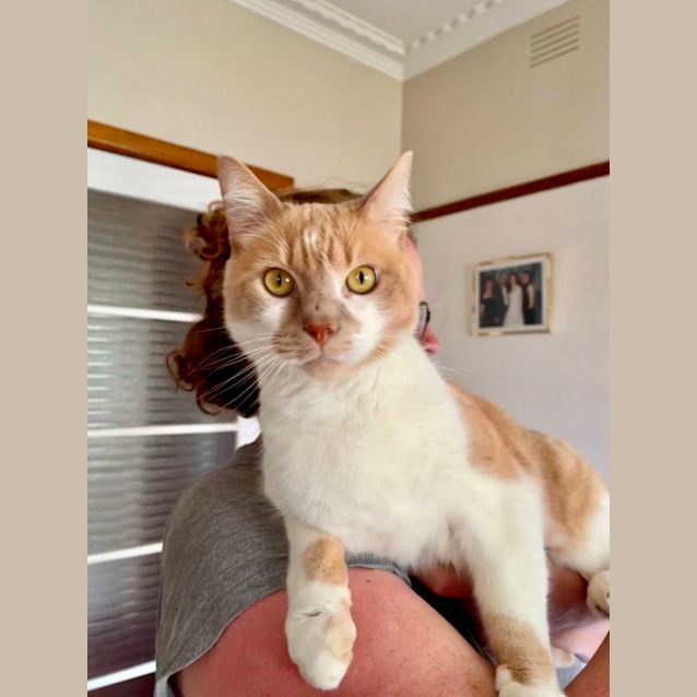 Photo of Oscar