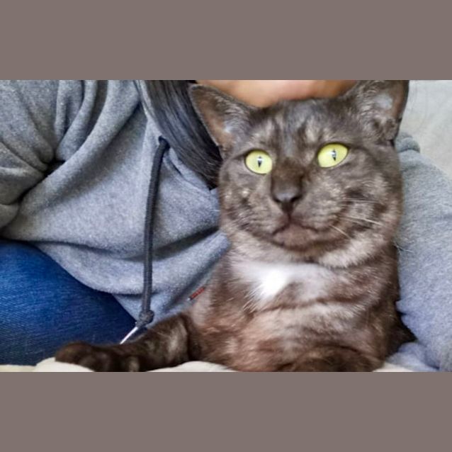 Photo of Belgrave