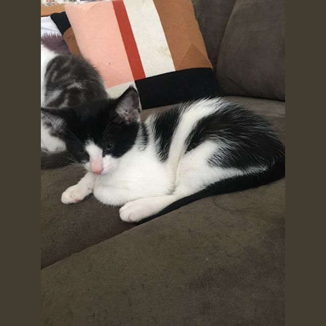 Photo of Arthur & Alma