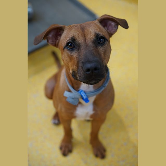 Photo of Lulu