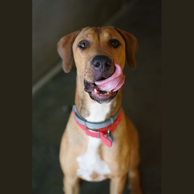 Photo of Daisy