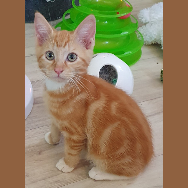 Photo of Jasper