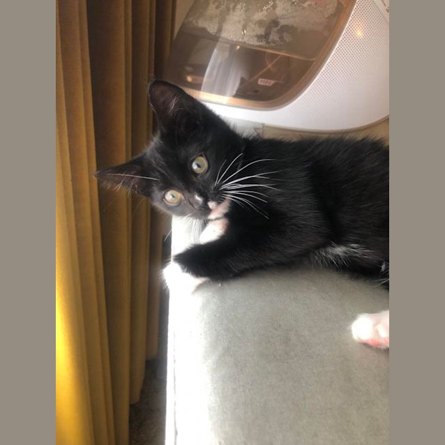 Photo of Charlie