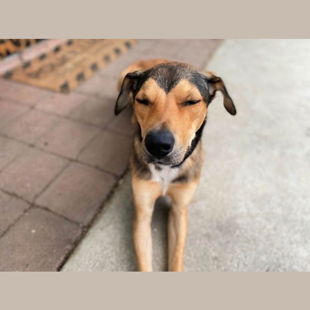 Photo of 💨💦🦋 Frank 🦋💦💨