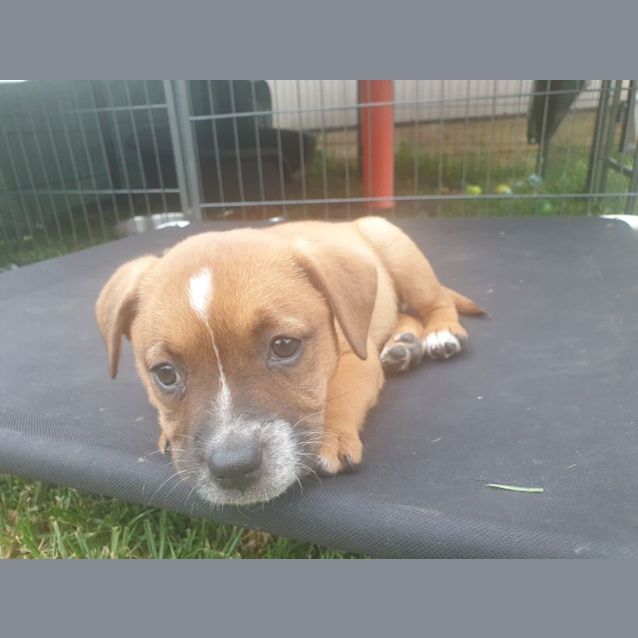 Photo of Fanny Lumsden