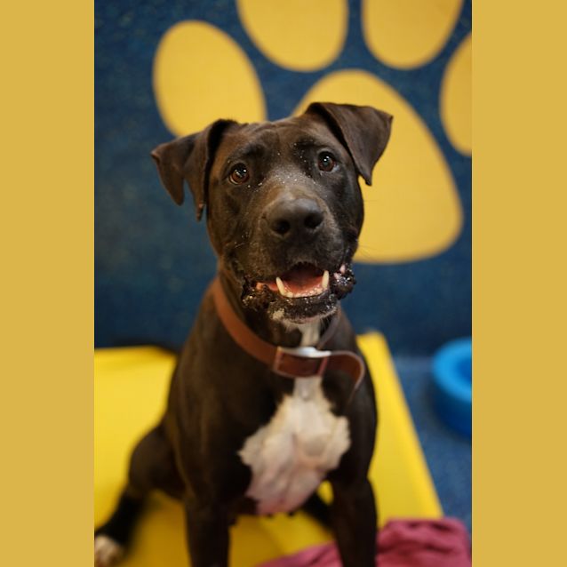Photo of Maisy Mae