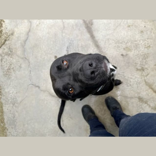 Photo of Bruce