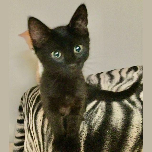 Photo of Axel 