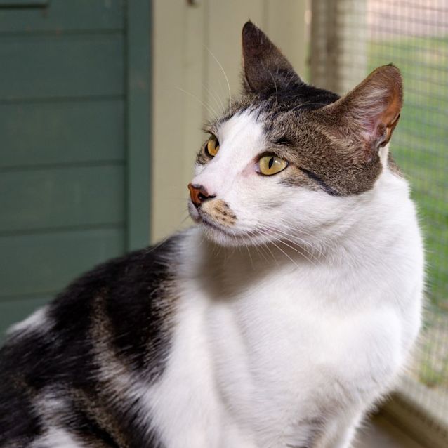 Photo of Casper