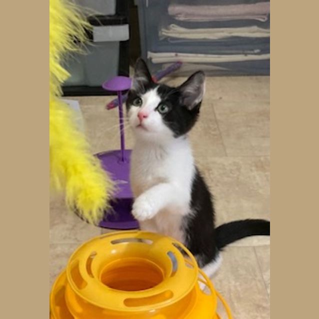 Photo of Pudney