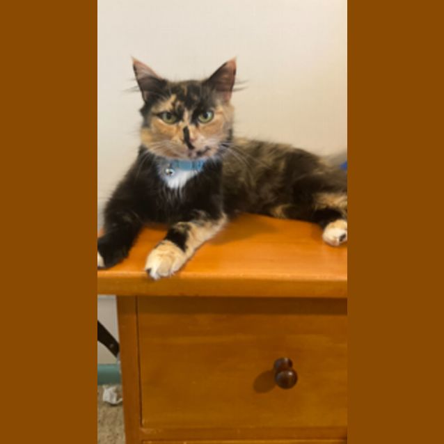 Photo of Ezzy