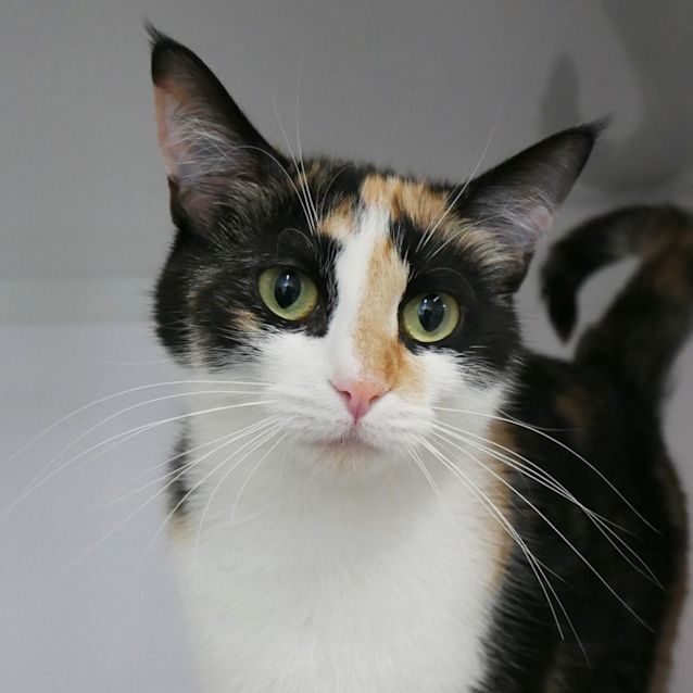 Photo of Layla Sua009258