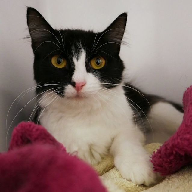 Photo of Munroe Suk009178