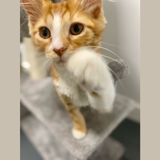 Photo of Bobbie